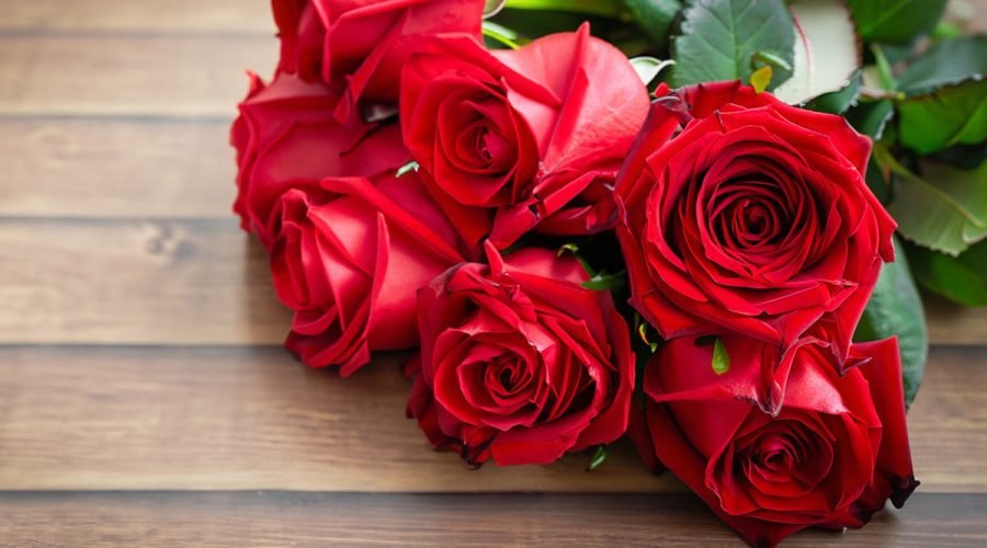 Aurora Flower Shop, Roses bouquet same day delivery in GTA. Valentine Day