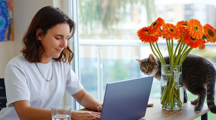 Pet-Safe Flowers. Aurora Flower Shop, Same day delivery in GTA.